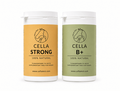 Mave &amp; Balance hårcelletest | Cella Test