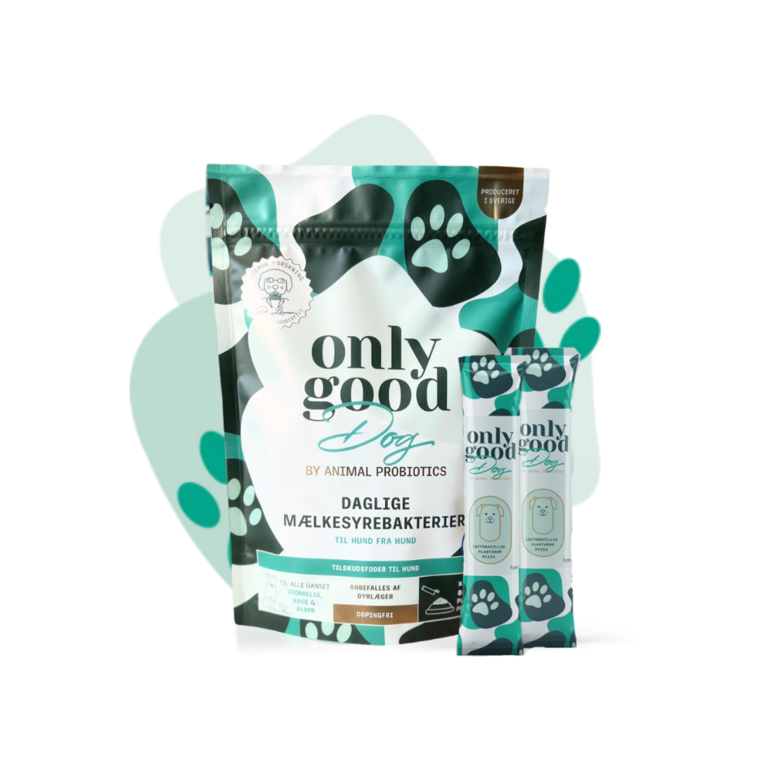 OnlygoodDog