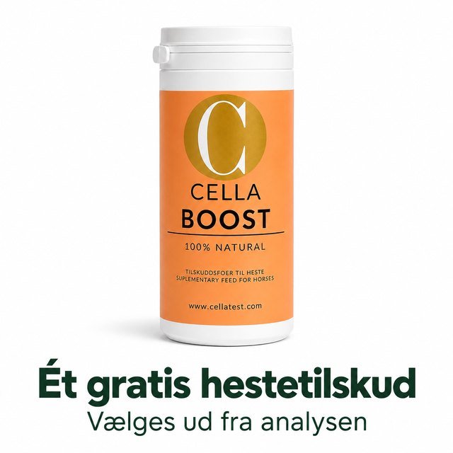 Skræddersyet kosttilskud til din hest